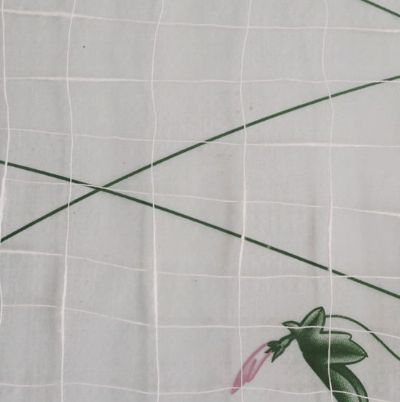 點(diǎn)擊查看詳細(xì)信息<br>標(biāo)題：純棉竹節(jié)紗 閱讀次數(shù)：2333