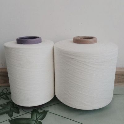 點(diǎn)擊查看詳細(xì)信息<br>標(biāo)題：渦流紡滌綸紗 閱讀次數(shù)：2357