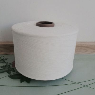 點(diǎn)擊查看詳細(xì)信息<br>標(biāo)題：氣流紡滌綸紗 閱讀次數(shù)：2231