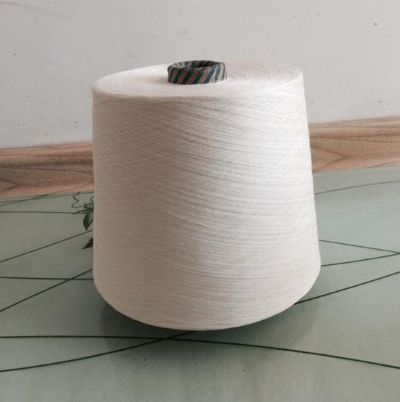 點擊查看詳細信息<br>標(biāo)題：G100天絲紗 閱讀次數(shù)：2735