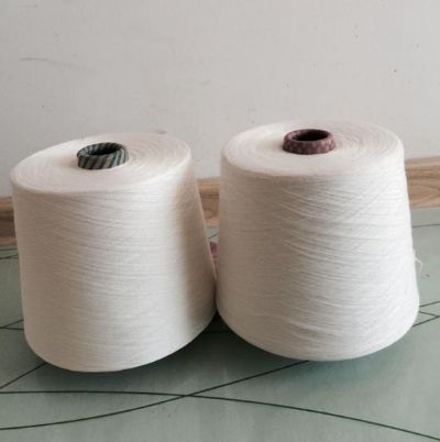 點擊查看詳細信息<br>標(biāo)題：A100天絲紗 閱讀次數(shù)：2998