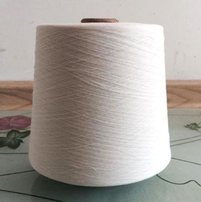 點擊查看詳細信息<br>標題：維綸紗 閱讀次數(shù)：3209