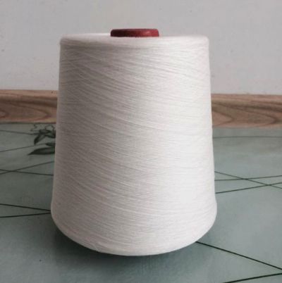 點(diǎn)擊查看詳細(xì)信息<br>標(biāo)題：緊密紡純棉紗 閱讀次數(shù)：11716