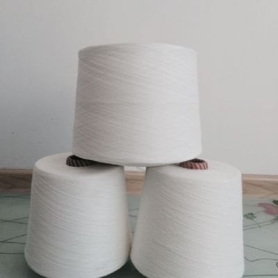 點(diǎn)擊查看詳細(xì)信息<br>標(biāo)題：仿大化滌綸紗 閱讀次數(shù)：4579