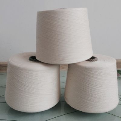 點(diǎn)擊查看詳細(xì)信息<br>標(biāo)題：棉粘混紡紗 閱讀次數(shù)：4481