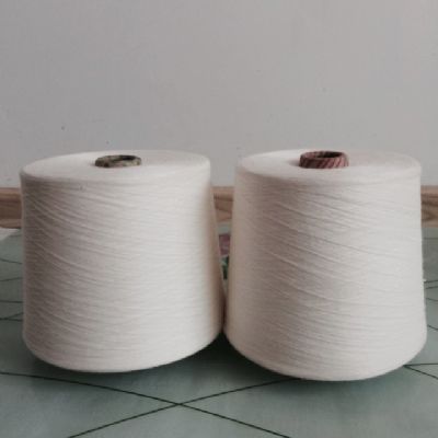 點擊查看詳細(xì)信息<br>標(biāo)題：阻燃腈綸紗 閱讀次數(shù)：4765