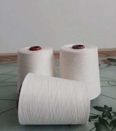 點擊查看詳細信息<br>標題：環(huán)錠紡滌綸紗 閱讀次數(shù)：9562