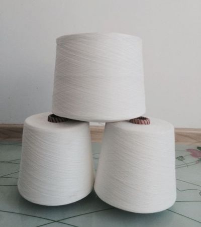 點擊查看詳細(xì)信息<br>標(biāo)題：阻燃滌綸紗 閱讀次數(shù)：4480
