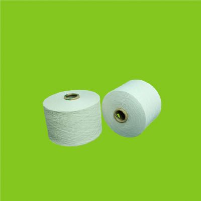 點擊查看詳細(xì)信息<br>標(biāo)題：阻燃紗的用途 閱讀次數(shù)：1304