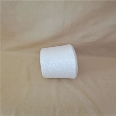 點(diǎn)擊查看詳細(xì)信息<br>標(biāo)題：阻燃滌綸紗的功能介紹 閱讀次數(shù)：857