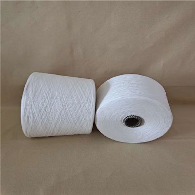 點擊查看詳細(xì)信息<br>標(biāo)題：阻燃紗的優(yōu)點介紹 閱讀次數(shù)：854
