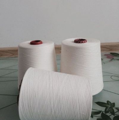 點(diǎn)擊查看詳細(xì)信息<br>標(biāo)題：緊密賽絡(luò)紡棉粘紗 閱讀次數(shù)：1116